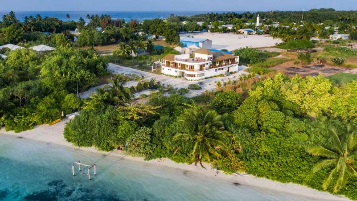 Olive Goidhoo