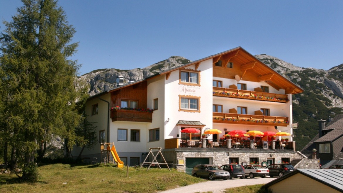 Alpenrose (Tauplitz)