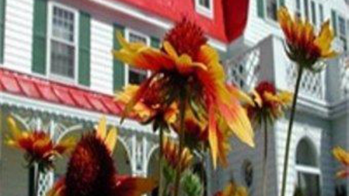 Tadoussac