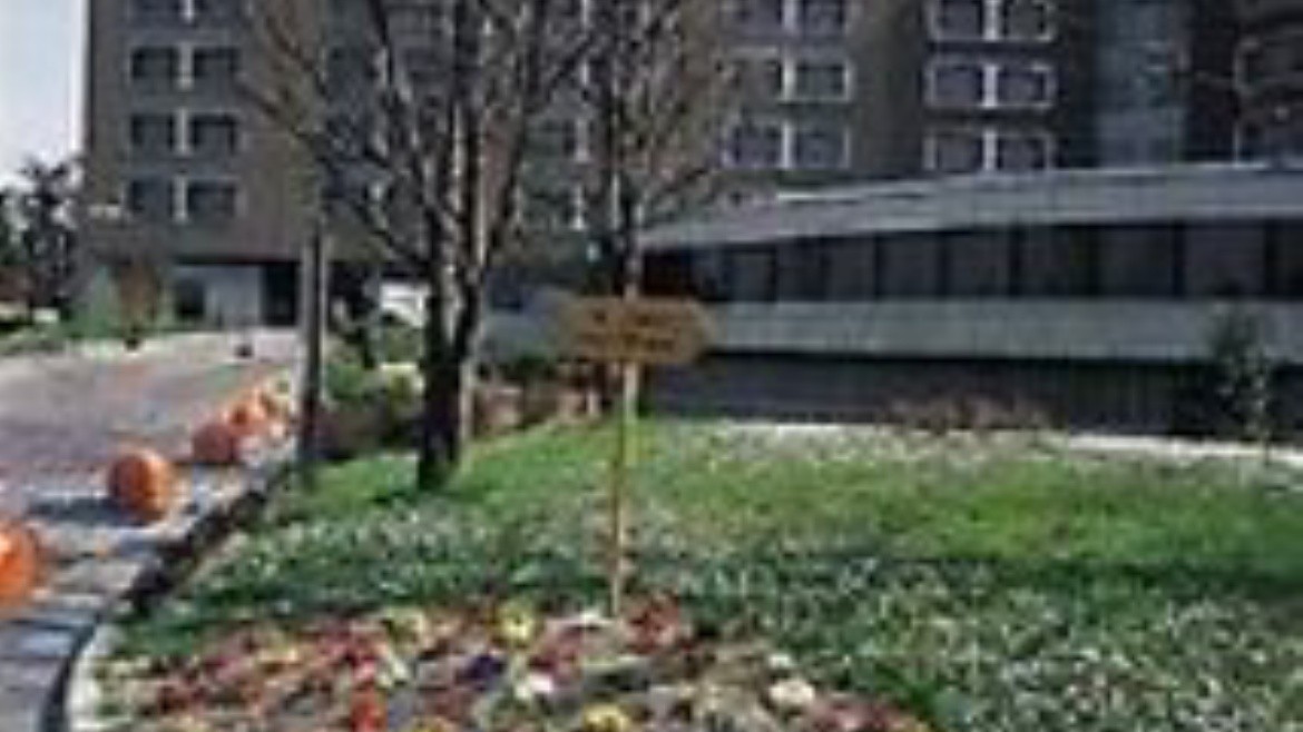 Sheraton Milan San Siro