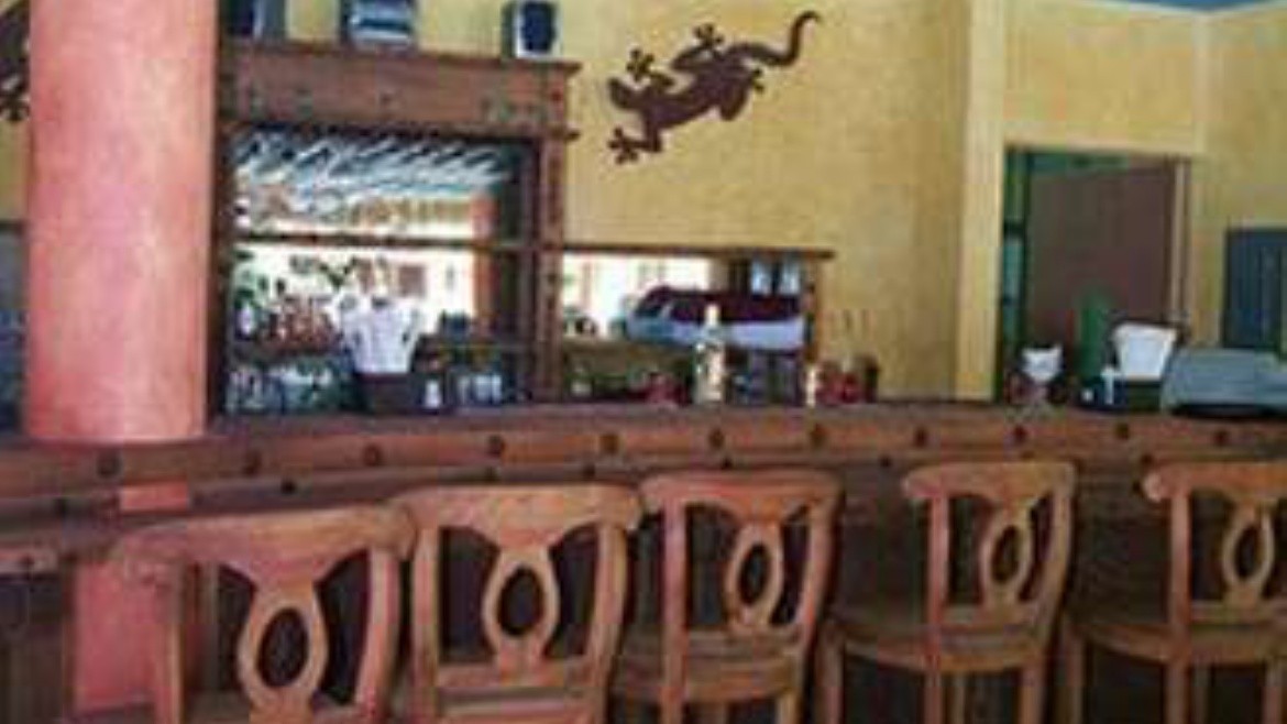 Casa Iguana (Puerto Vallarta)