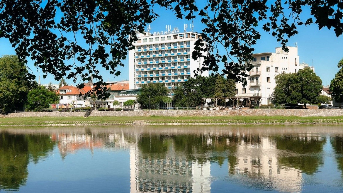 Magnólia