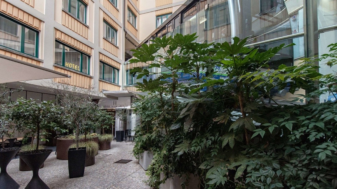 Acquarello