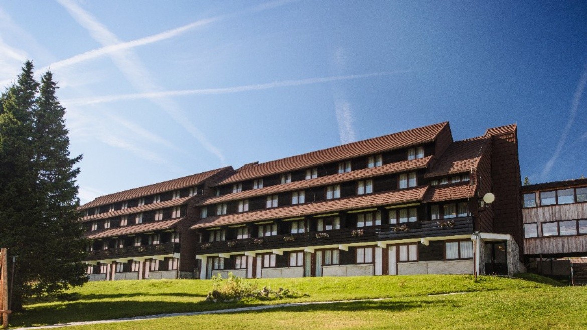Rogla