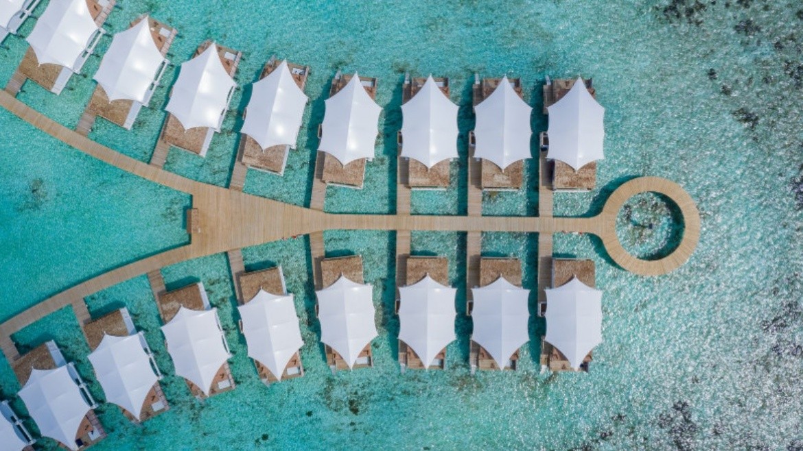Cinnamon Hakuraa Huraa