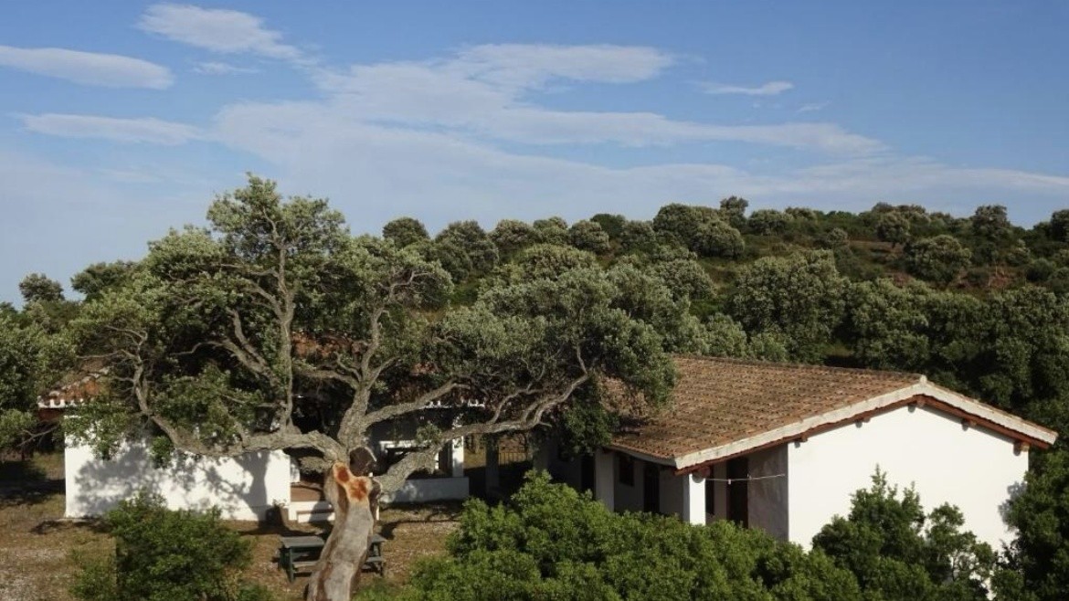 Agriturismo Conca' e Janas (Golfo di Orosei)