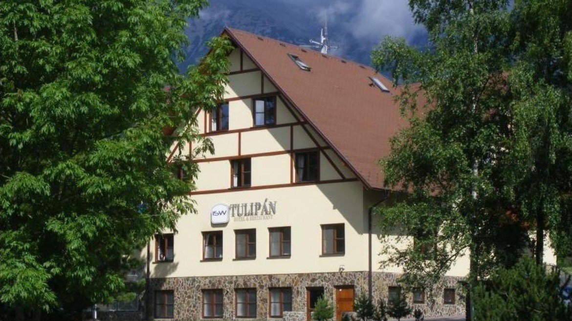 Tulipán