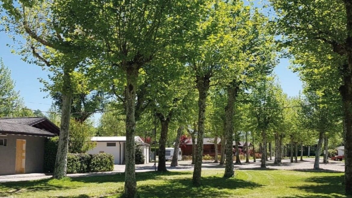 Lido di Sesto Camping
