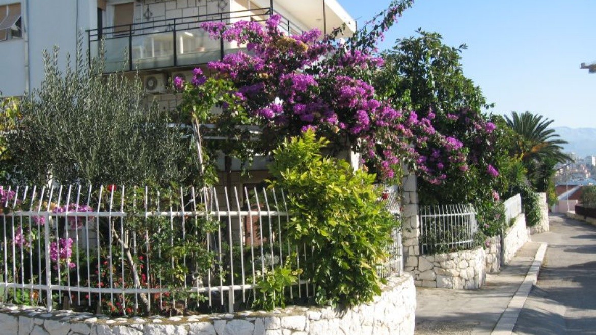 Apartmány Pavica