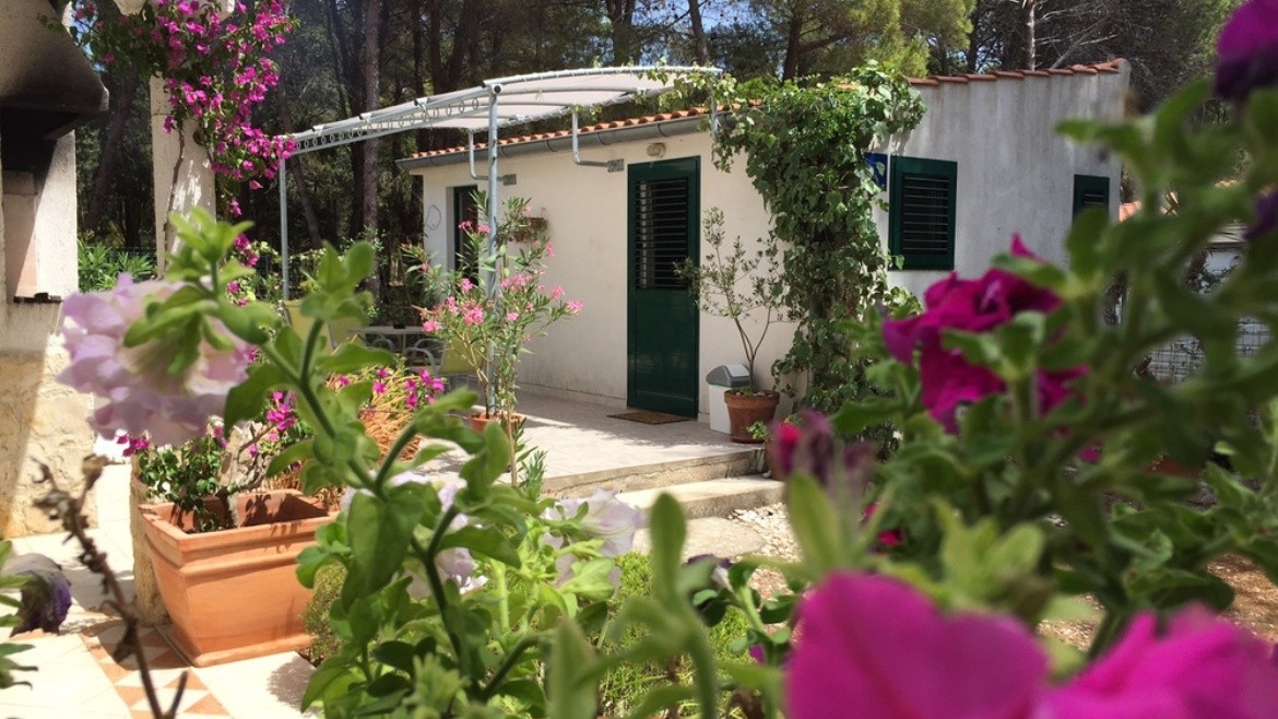 Studio Arabela