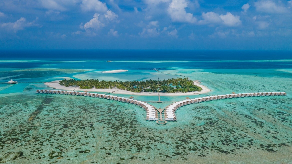 Cinnamon Hakuraa Huraa