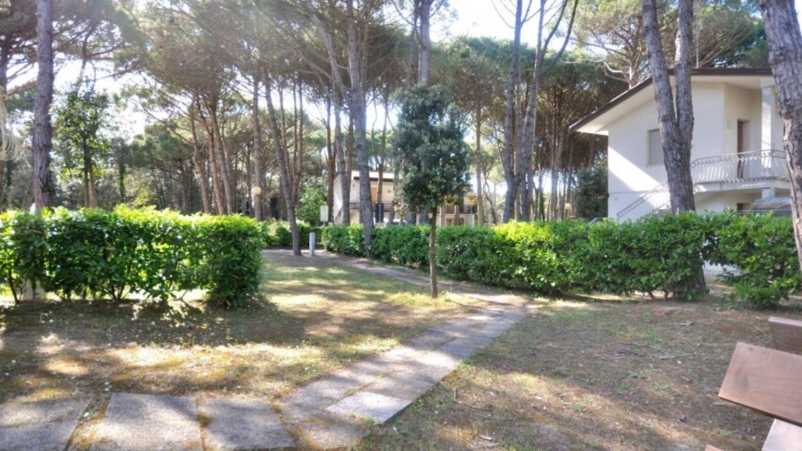Gabbiano (Lido del Sole)