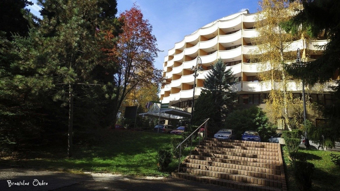 Kurhotel Borina (Banik)