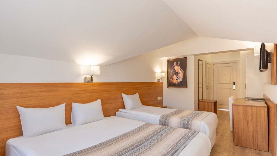 Mirada Del Monte (Kayseri)