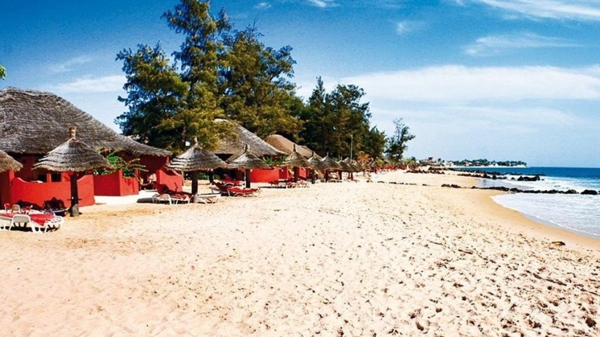 Royal Horizons Baobab