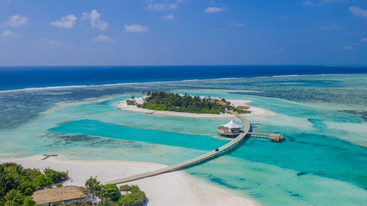 Cinnamon Hakuraa Huraa