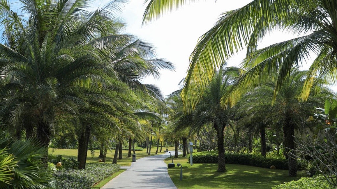 Hainan Greentown Blue Bay Resort