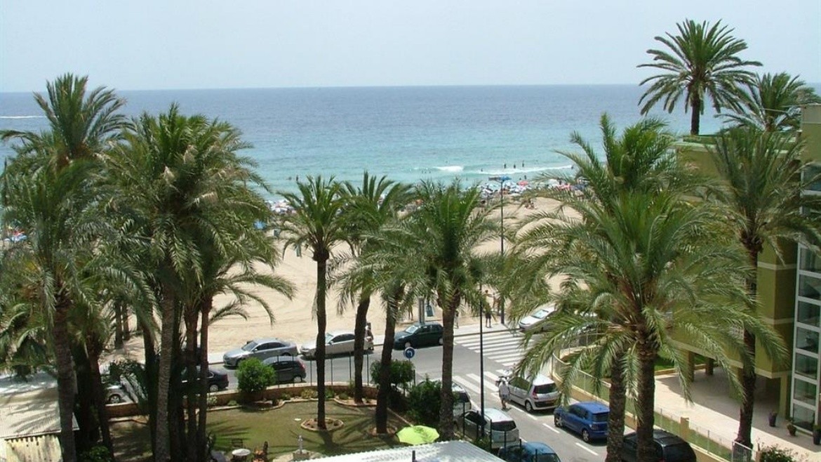 El Palmeral