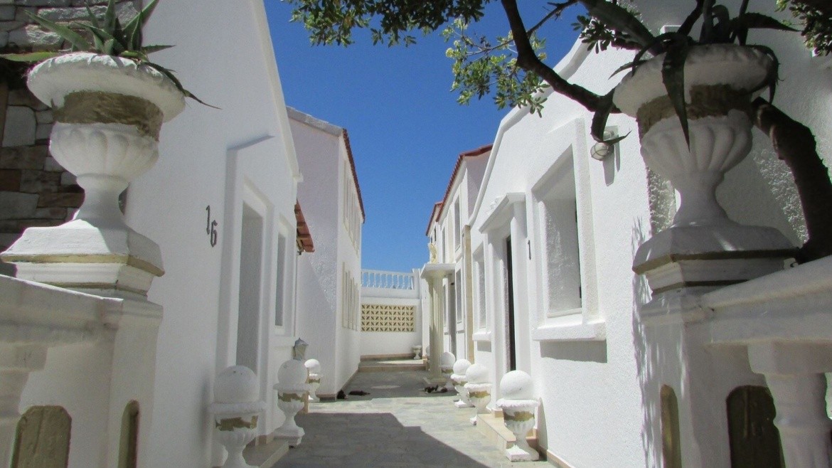 Studia Castellino