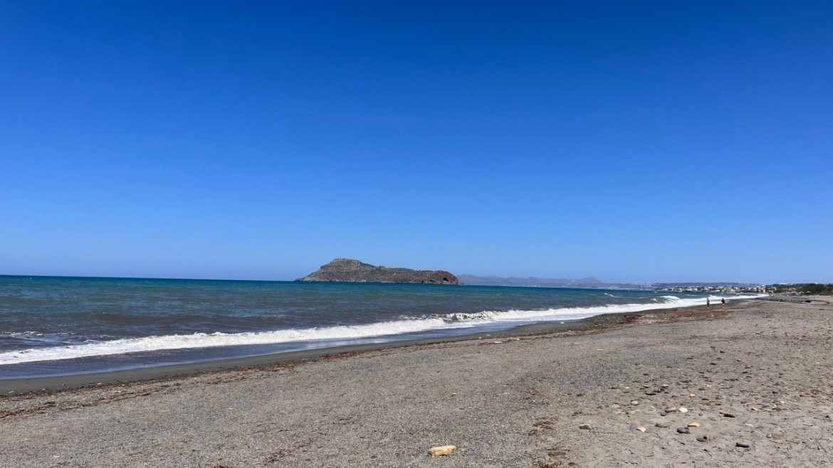 Venus Beach