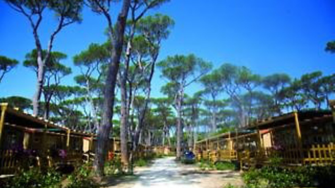 hu Park Albatross Village