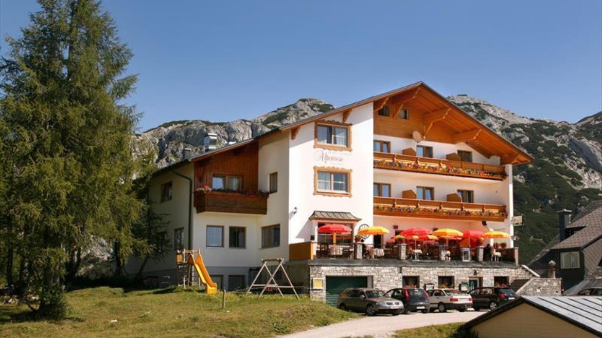 Alpenrose