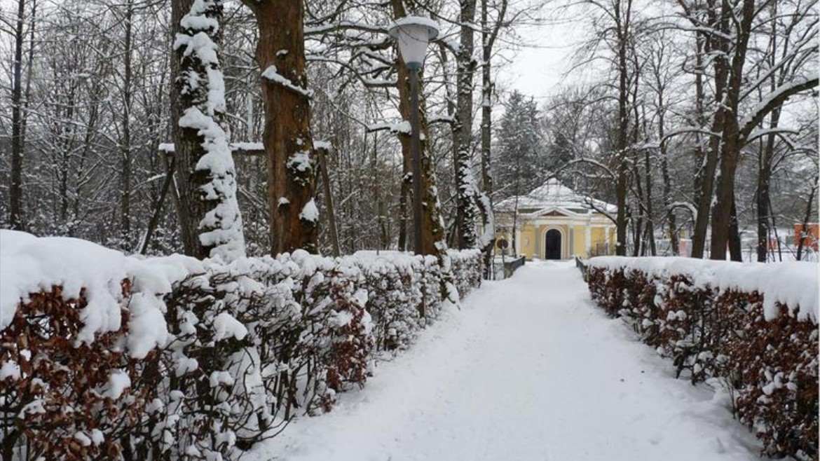 Zur Klause (Bad Hall)