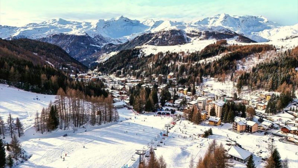Harlequin