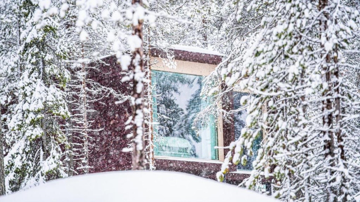 Arctic TreeHouse