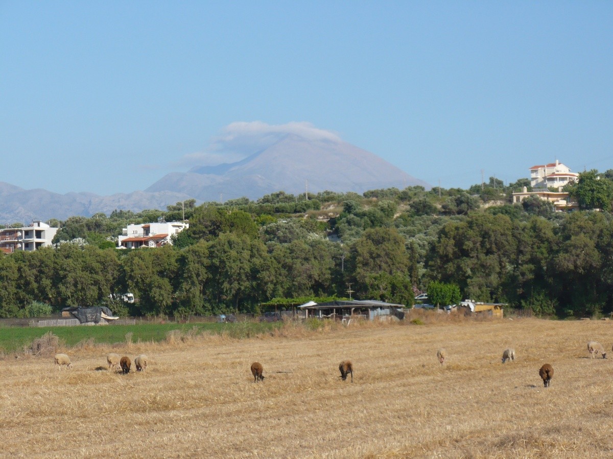 Hlavný obrázok galérie