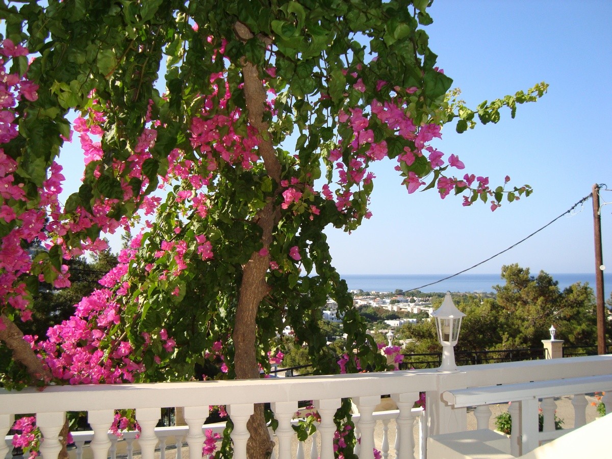 Hotel Studia Stella View