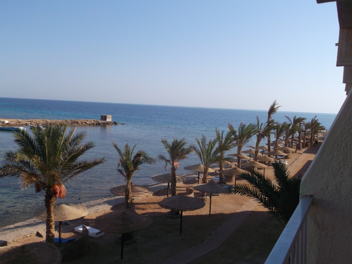 shepherd hugo slippers