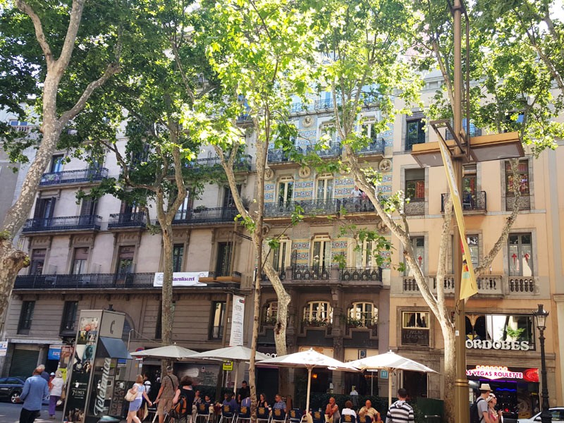 Hlavný obrázok galérie