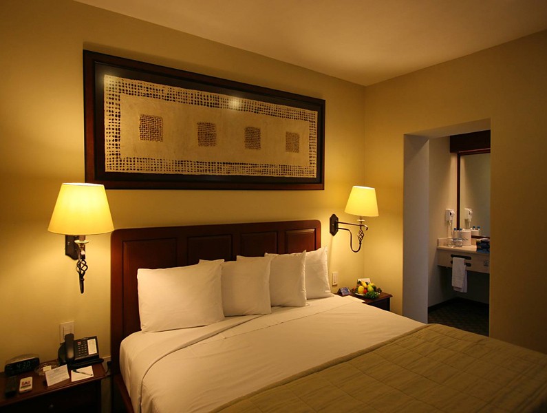 Hotel Holiday Inn & Suites Mexico Zona Rosa - Ciudad de México