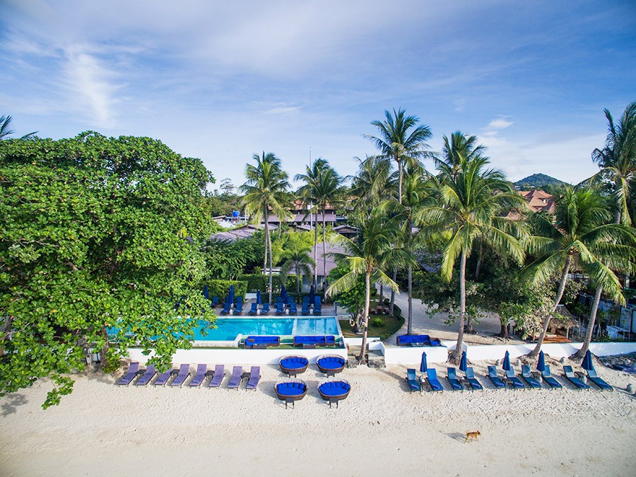 Główne zdjęcie galerii