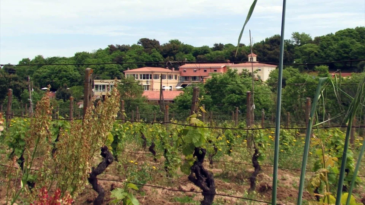 Hlavný obrázok galérie