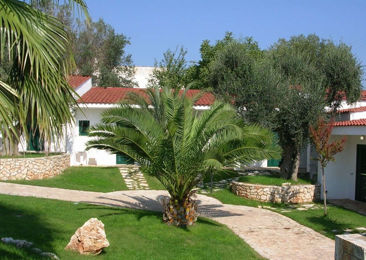 Główne zdjęcie galerii