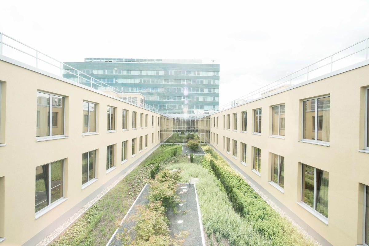 Hlavní obrázek galerie