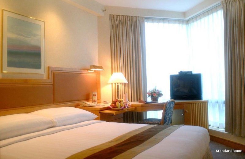 Hlavný obrázok galérie