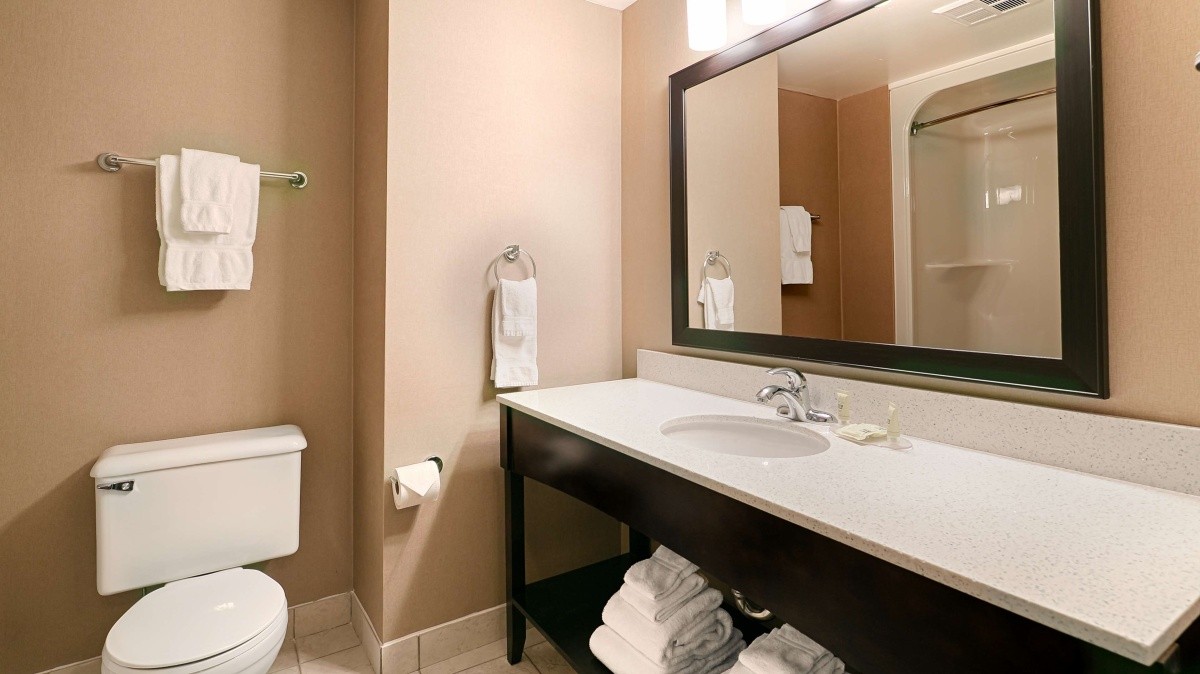 Hotel Best Western Swan Castle Inn