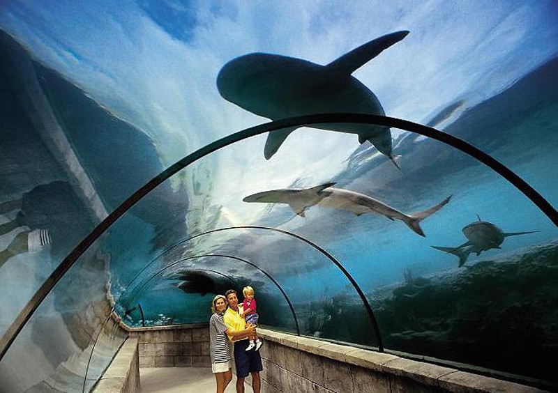 Główne zdjęcie galerii