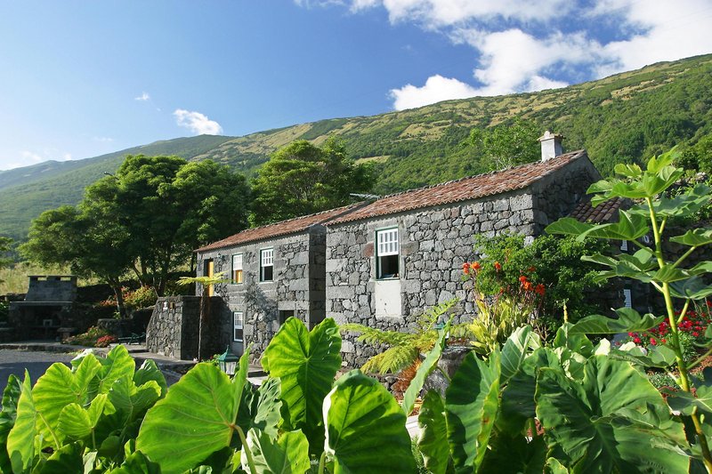 Główne zdjęcie galerii