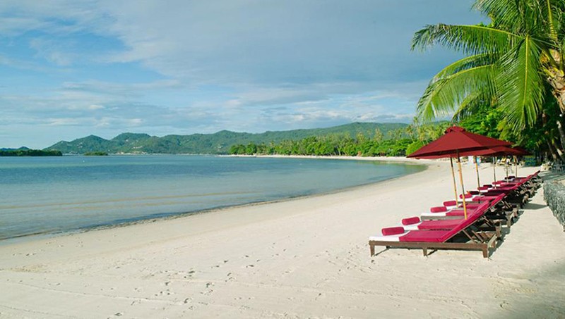 Główne zdjęcie galerii