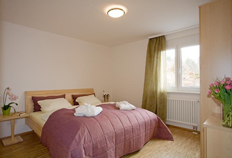 Hotel Boutique Hotel Alemannenhof - Hinterzarten