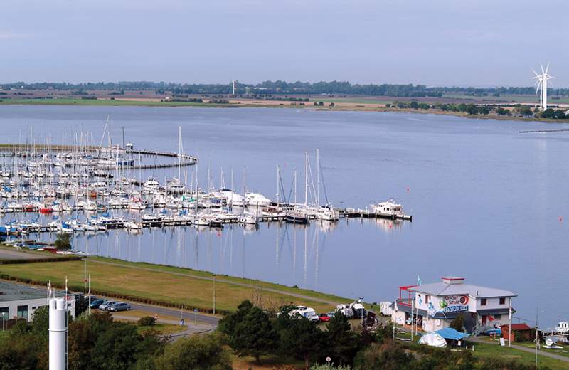 Główne zdjęcie galerii