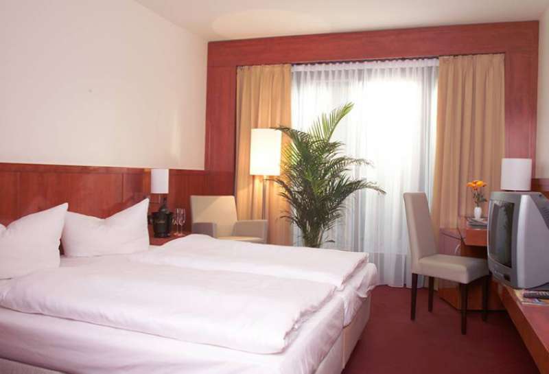 Główne zdjęcie galerii