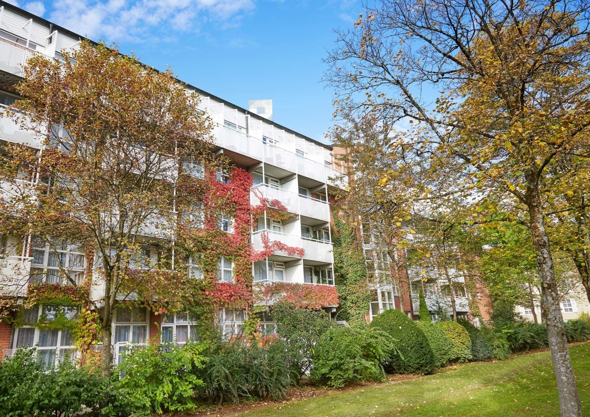 Hlavní obrázek galerie