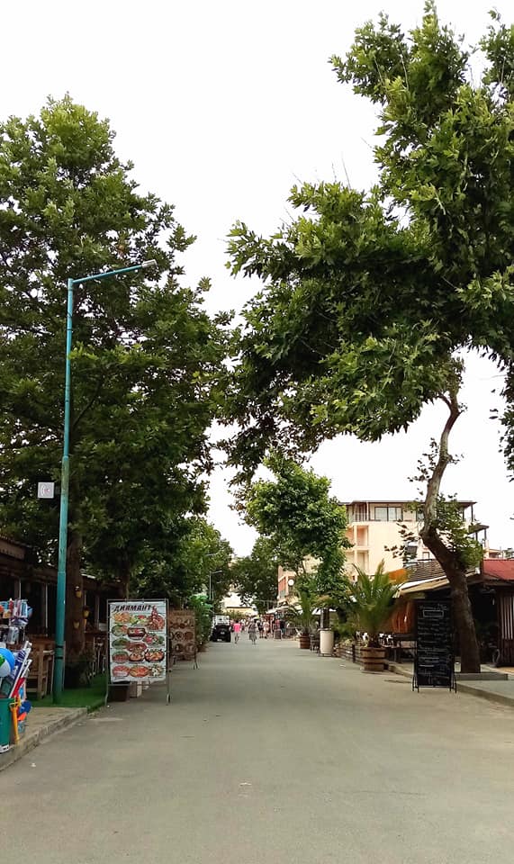 Hotel Rishly