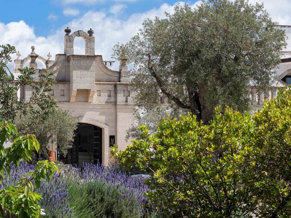 Hlavný obrázok galérie