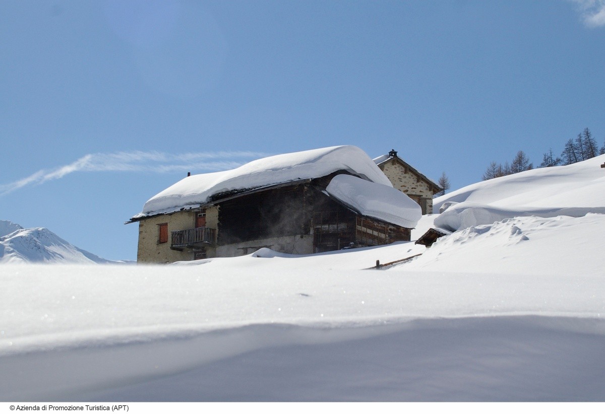 Główne zdjęcie galerii